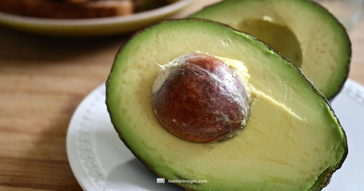 Avocado Toast Guide - ToasterInsight