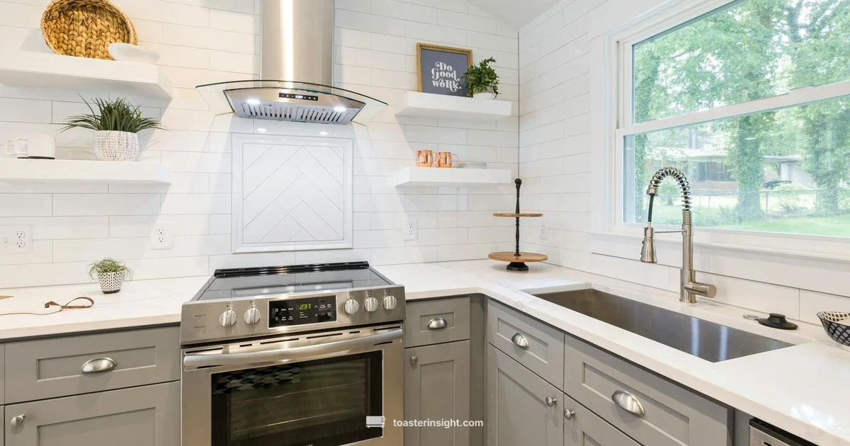 Toastation Review - ToasterInsight