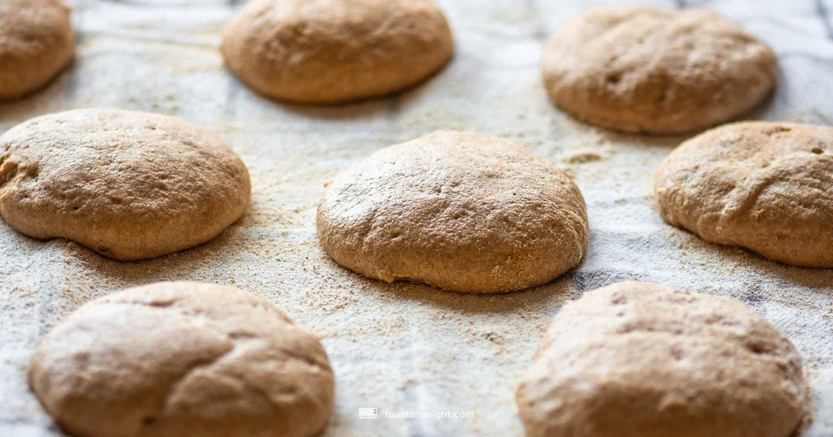 Breville Toaster Ovens - ToasterInsight