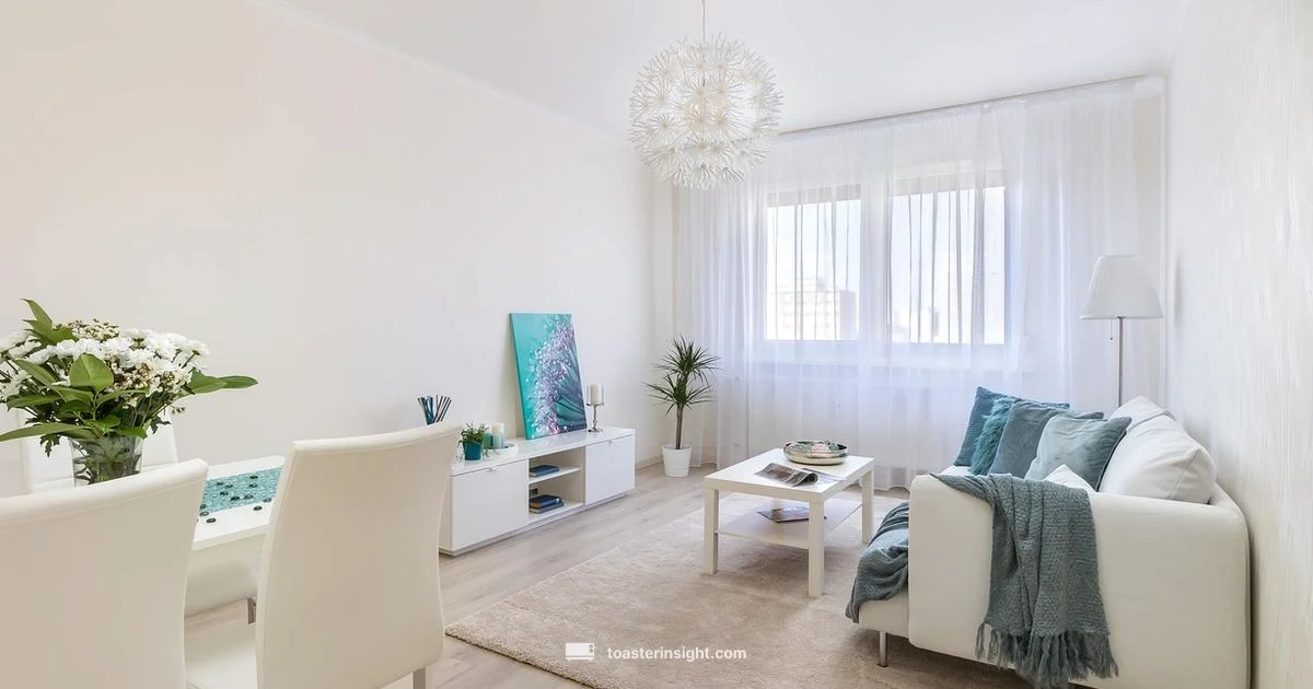 Brave Little Toaster - ToasterInsight