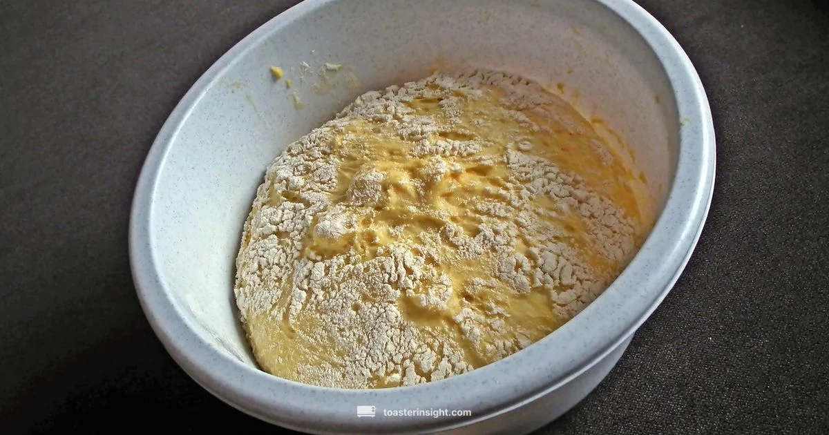 Popular Flavor - ToasterInsight