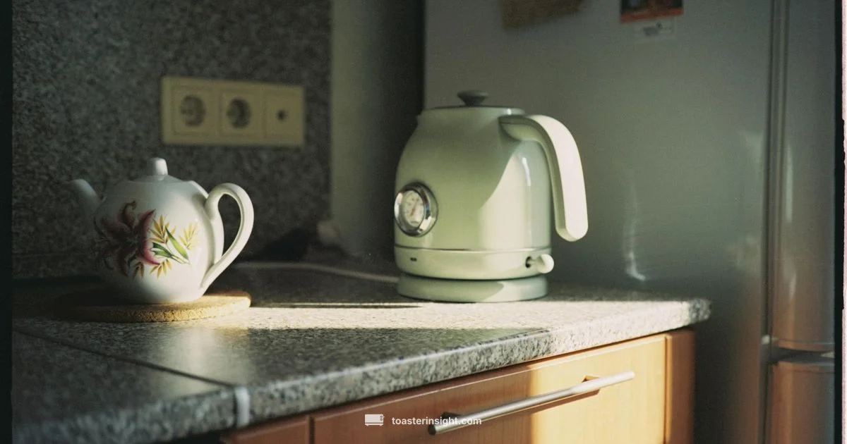 Toaster Selfie Basics - ToasterInsight