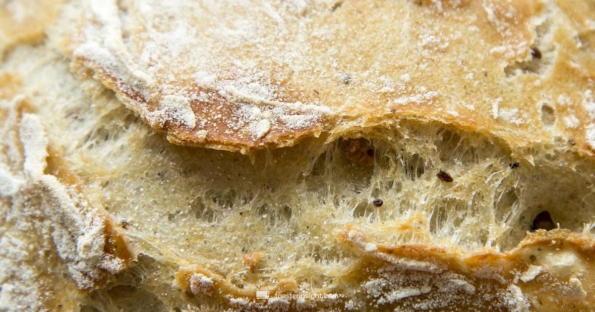 Toast Tool Guide Toast Tool Guide - ToasterInsight