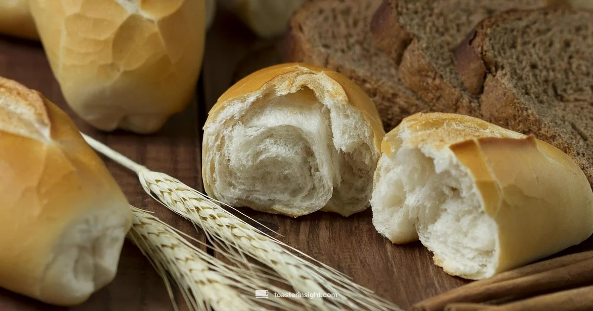 Toast Essentials Guide - ToasterInsight