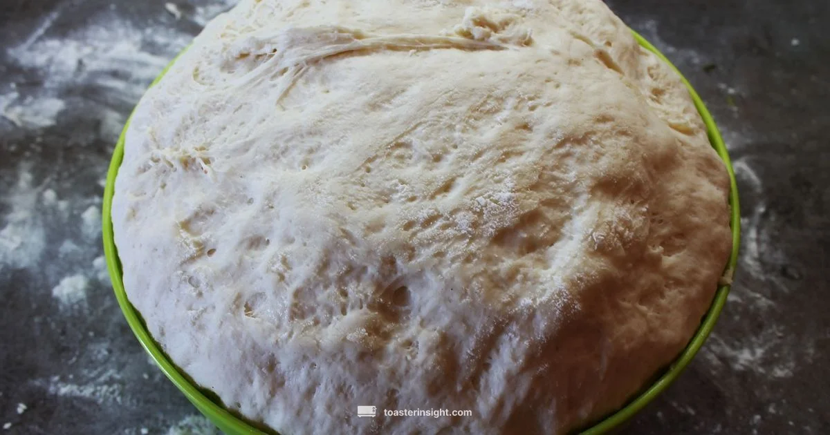 Toaster B Guide - ToasterInsight