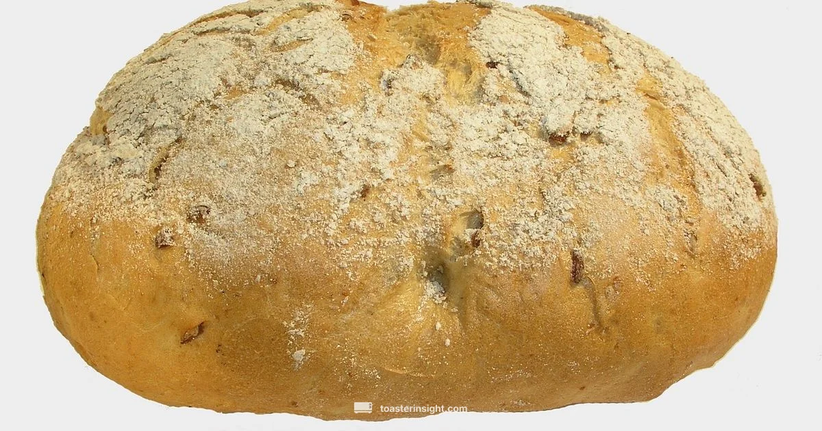 Even Toast - ToasterInsight