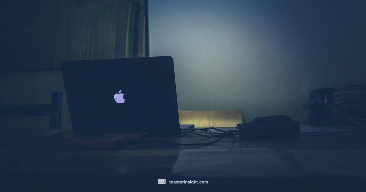 Toast Message Guide Toast Message Guide - ToasterInsight