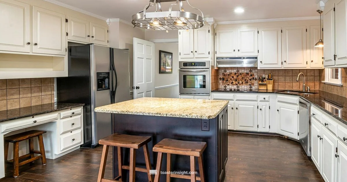 Oster Toaster Ovens - ToasterInsight