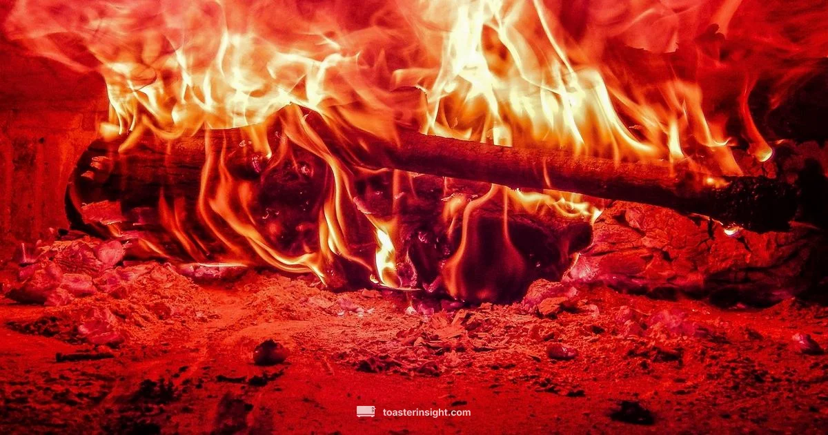 Toaster Oven Mechanics Toaster Oven Mechanics - ToasterInsight