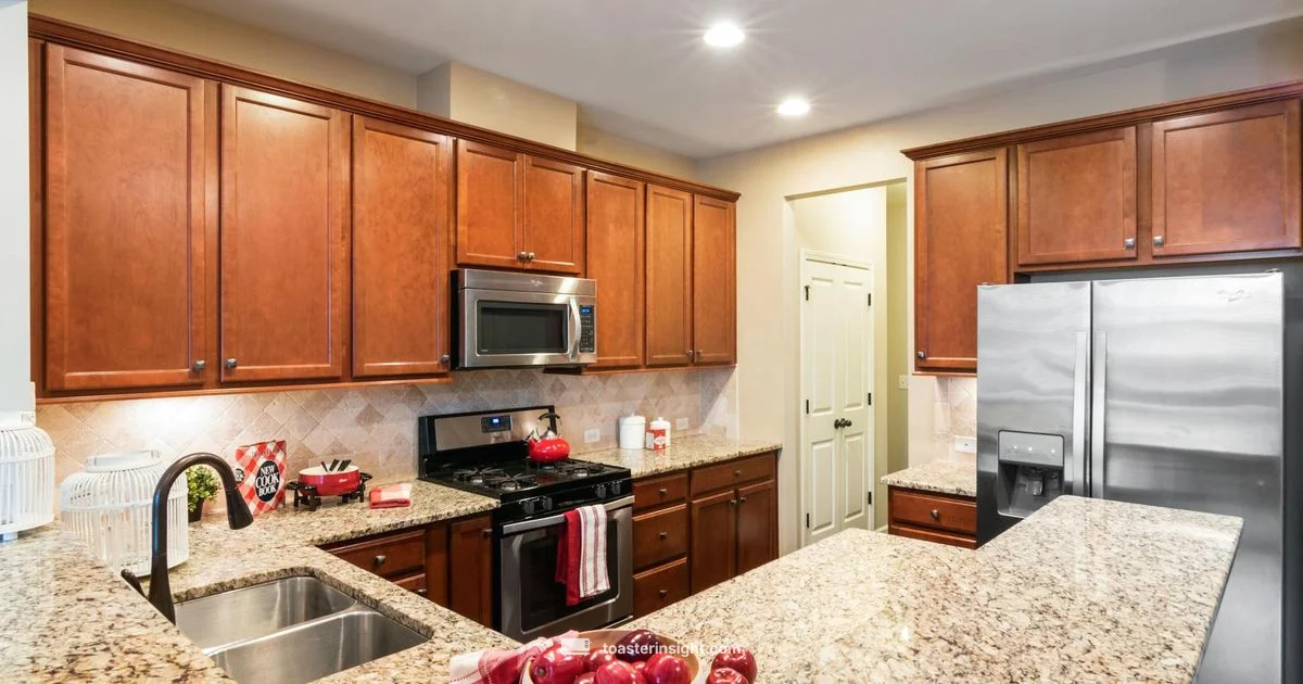 Premium Countertop Oven - ToasterInsight