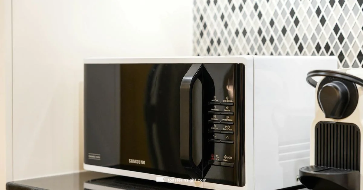 Toaster vs Microwave Toaster vs Microwave - ToasterInsight