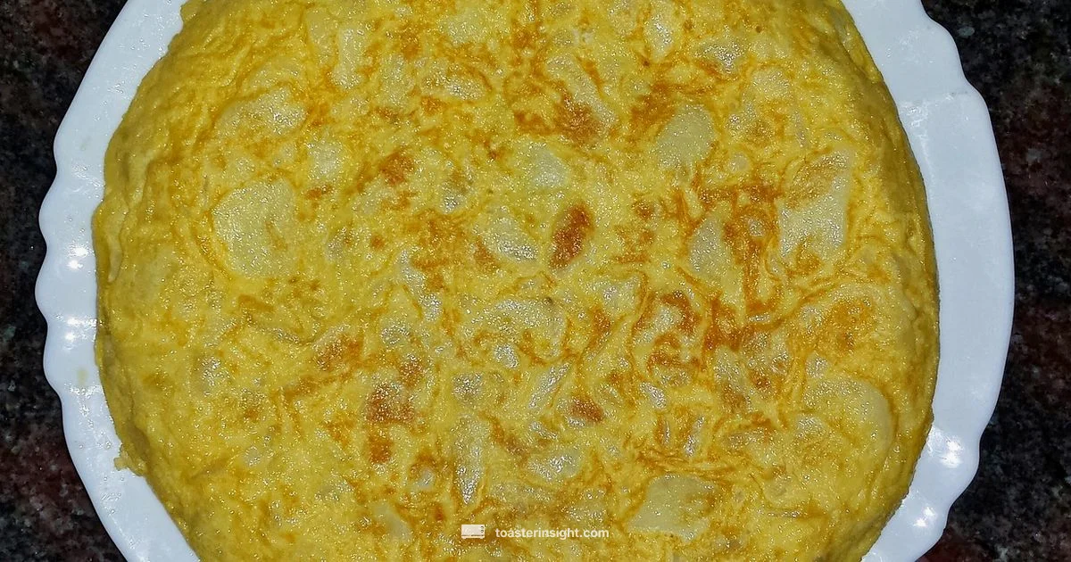 Toaster Tortilla Guide - ToasterInsight