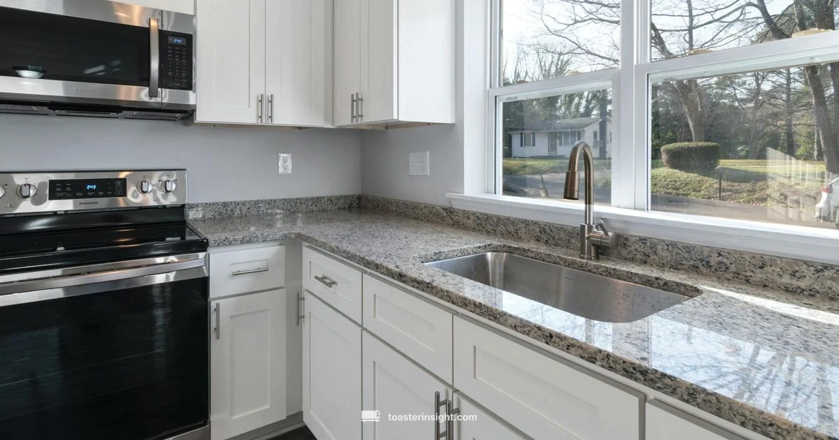 Top Air Fryer Ovens - ToasterInsight