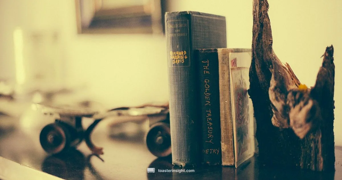 Brave Toaster Guide - ToasterInsight