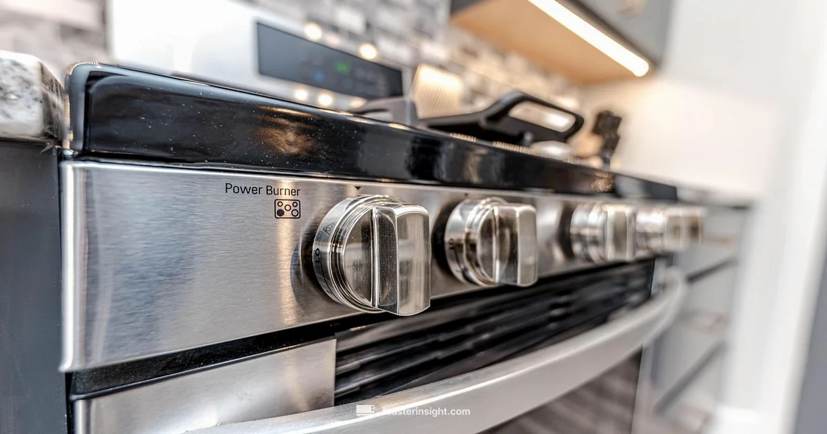 Toaster Oven Essentials - ToasterInsight