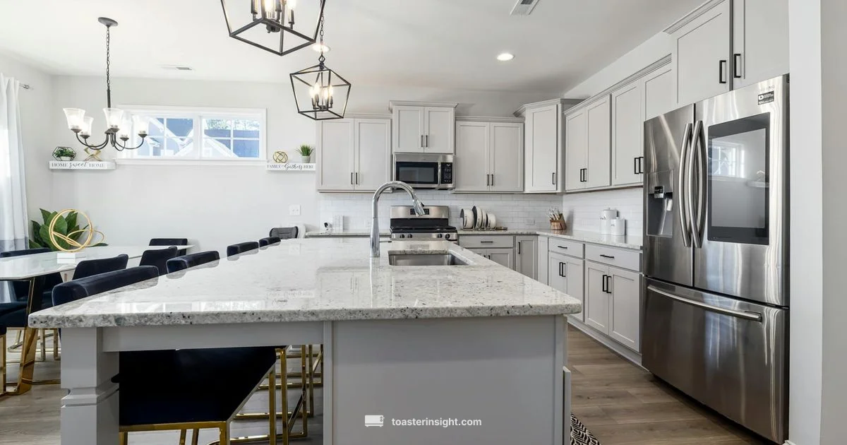 Wolf Oven Toaster Guide - ToasterInsight