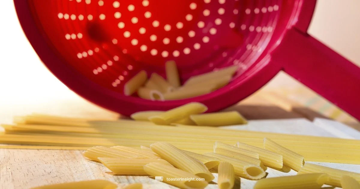 Toaster vs Roaster - ToasterInsight