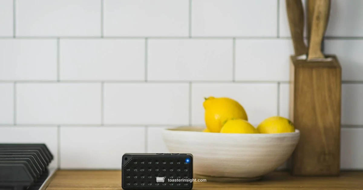 Tiny Kitchen Toast - ToasterInsight