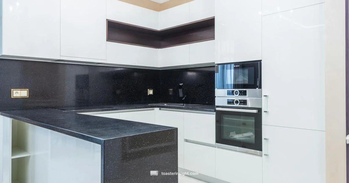 Black Toaster Oven Guide - ToasterInsight