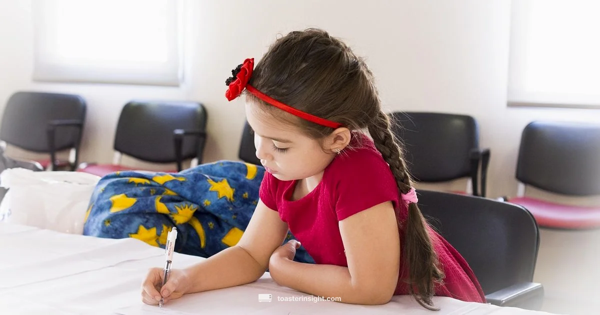 Toaster Basics - ToasterInsight