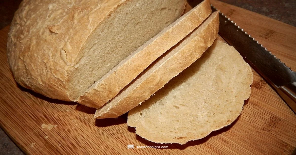 Sourdough Health Sourdough Health - ToasterInsight