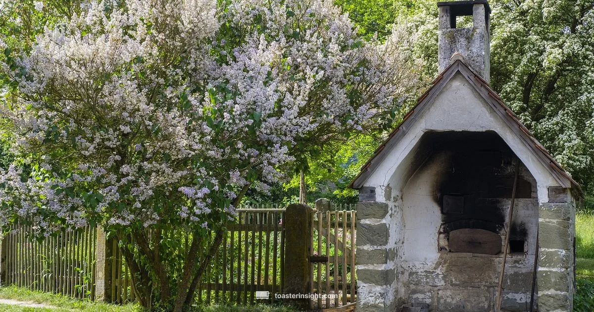 Toaster vs Microwave Toaster vs Microwave - ToasterInsight