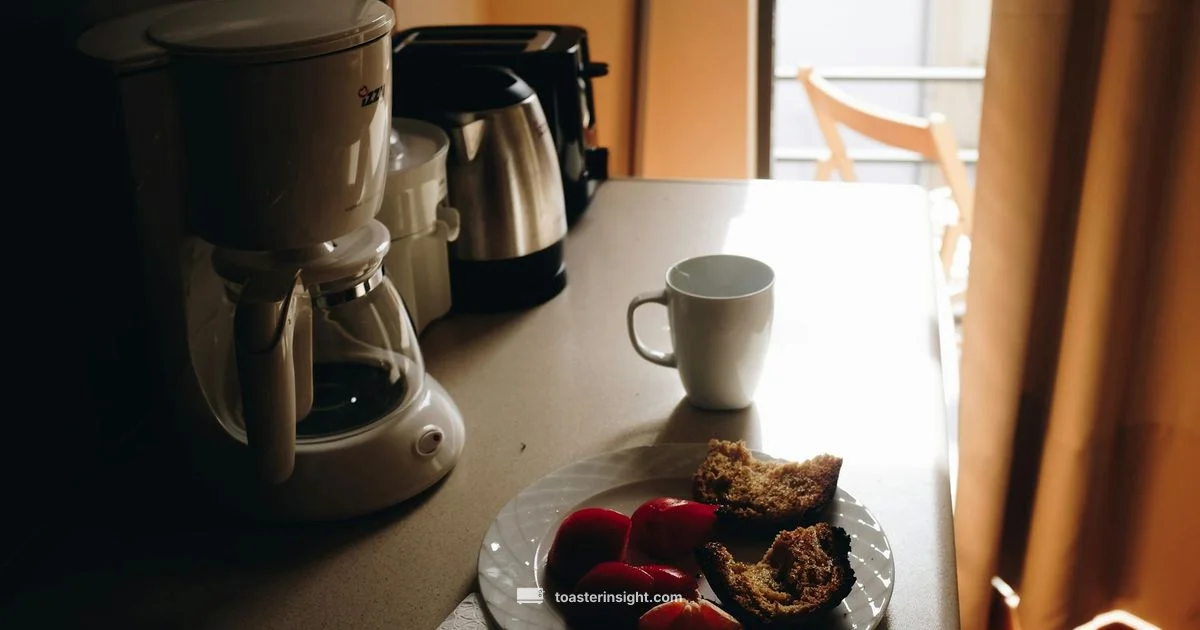 Dualit vs Breville - ToasterInsight