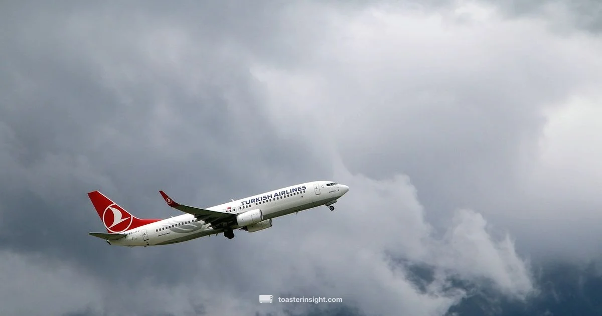 Toaster Travel Guide Toaster Travel Guide - ToasterInsight