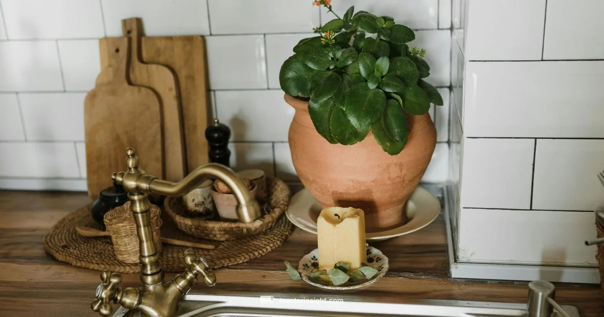 Golden Toaster Guide - ToasterInsight