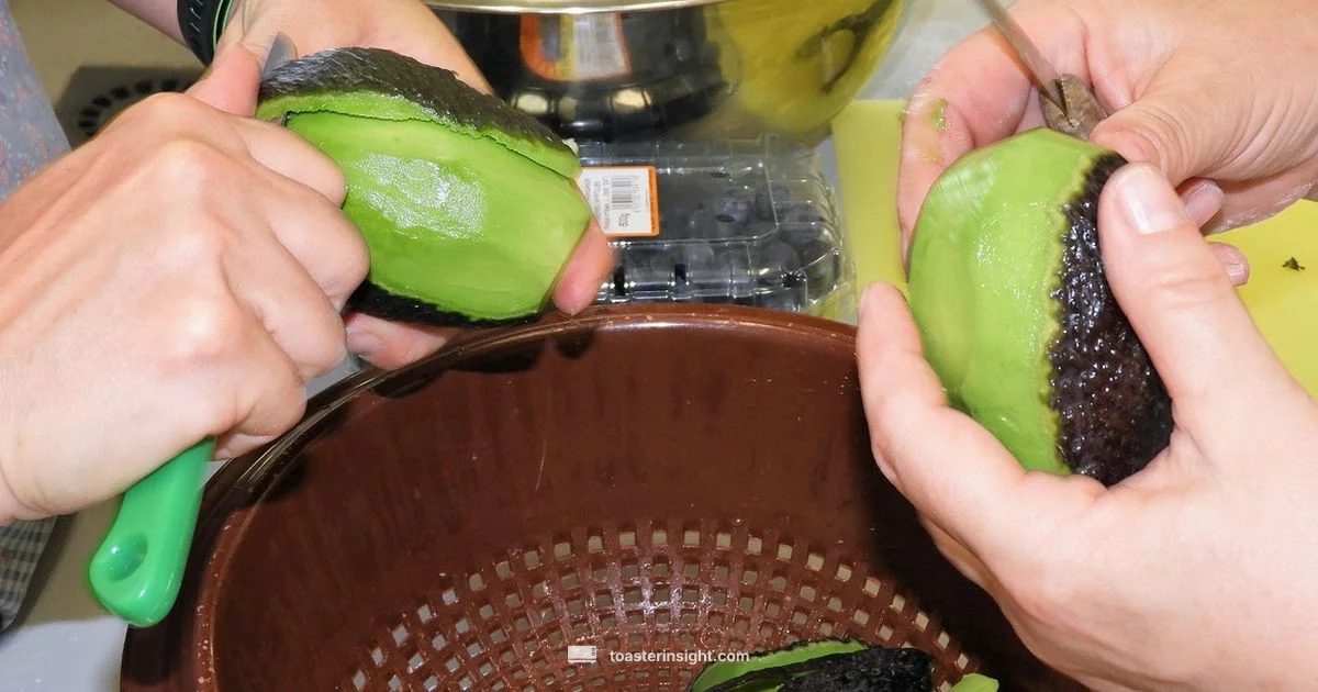 Avocado Toast Benefits - ToasterInsight