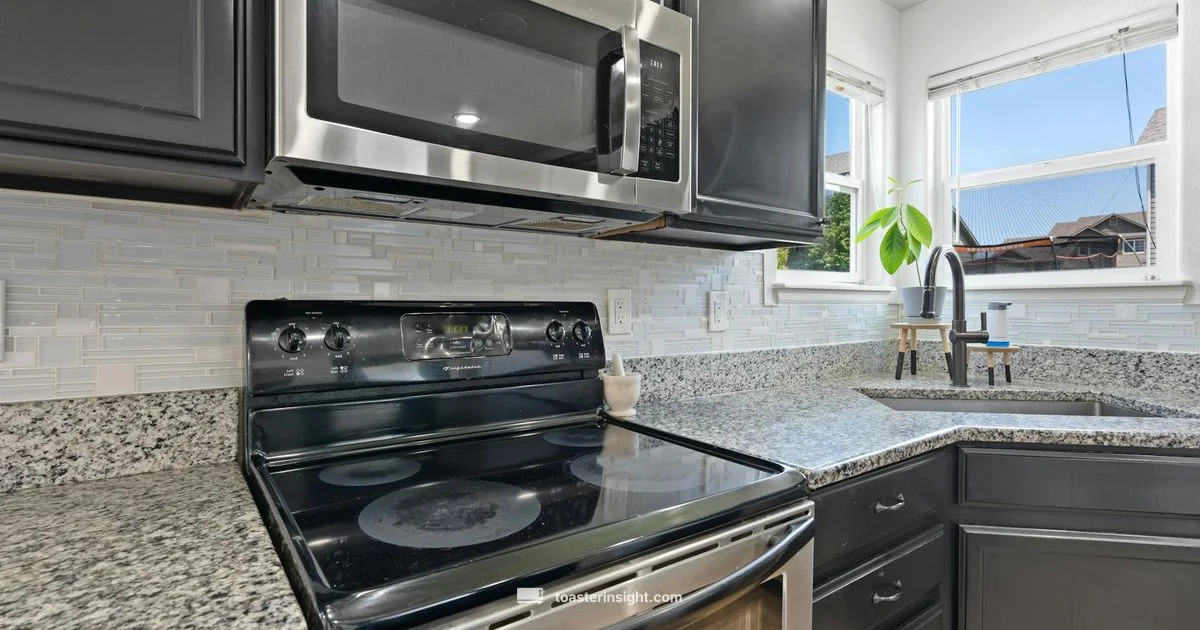 Compact Convection Oven - ToasterInsight