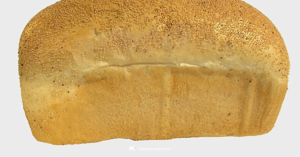 Oven Toast Guide Oven Toast Guide - ToasterInsight