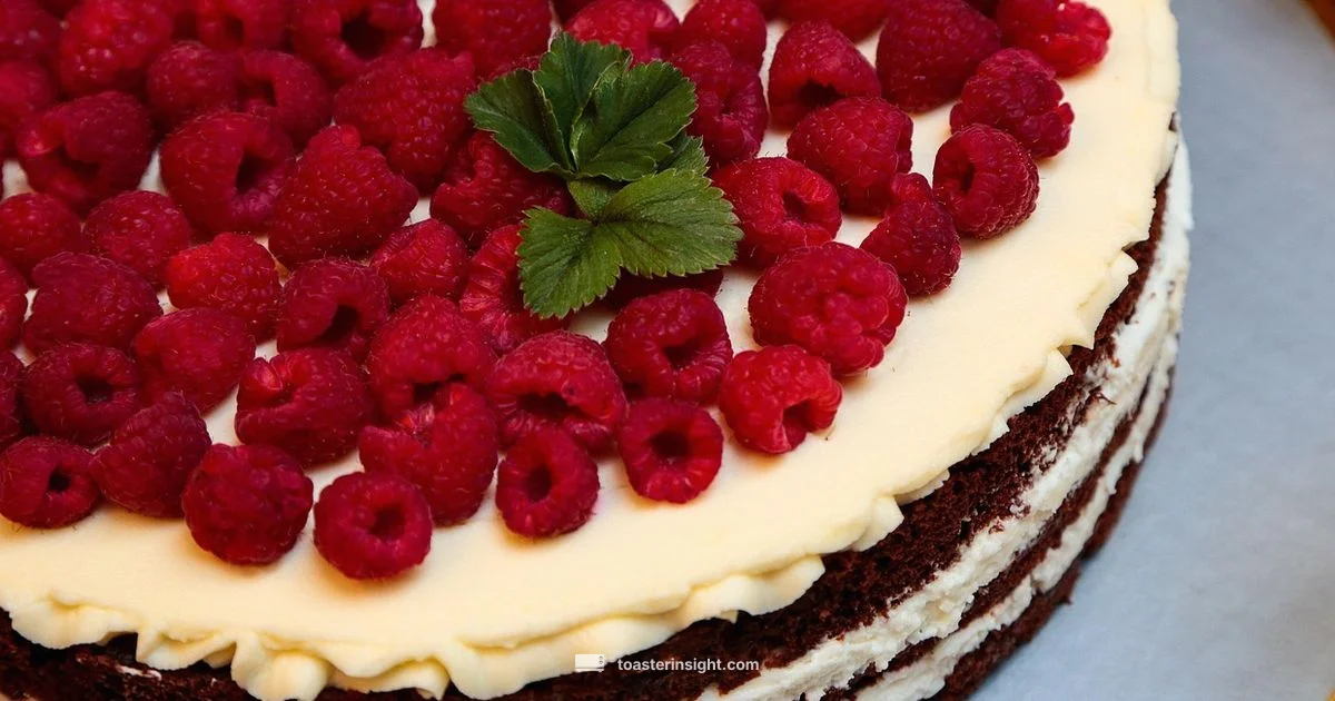 Raspberry Toaster Strudel - ToasterInsight