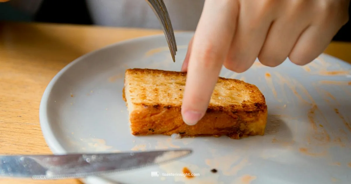 No Toaster Toast - ToasterInsight