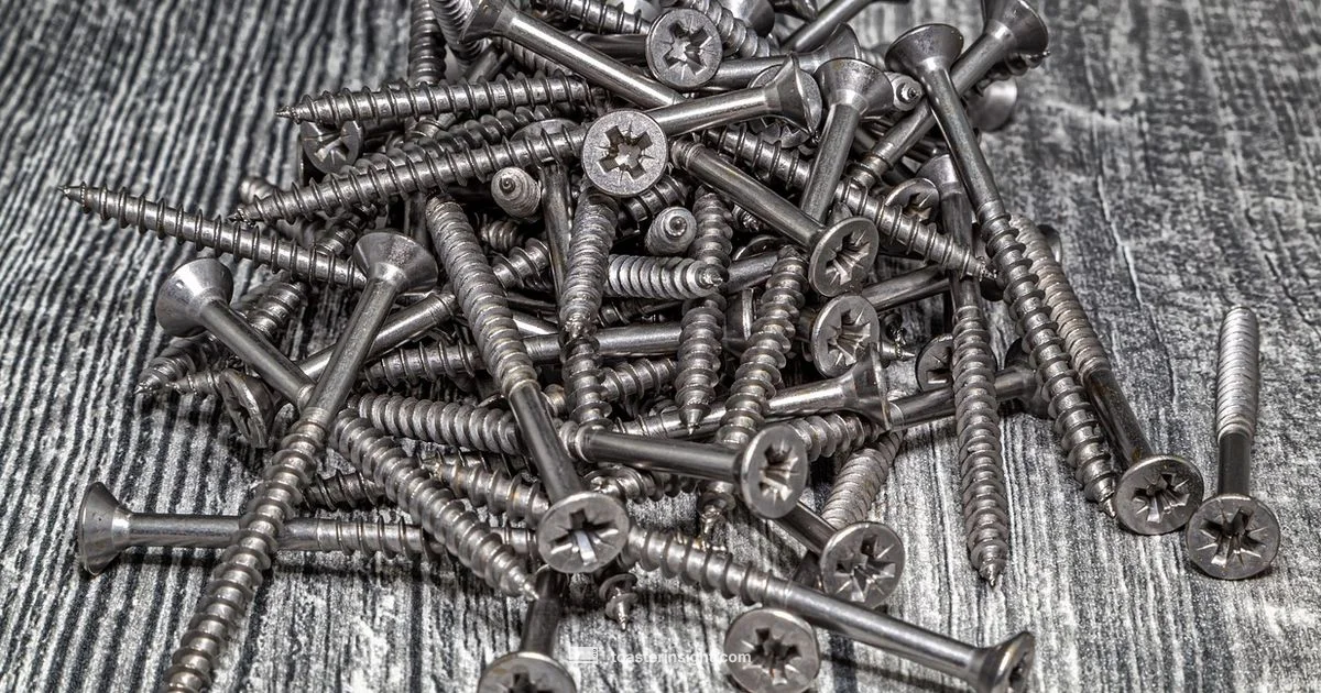 Toaster Bacteria Guide Toaster Bacteria Guide - ToasterInsight