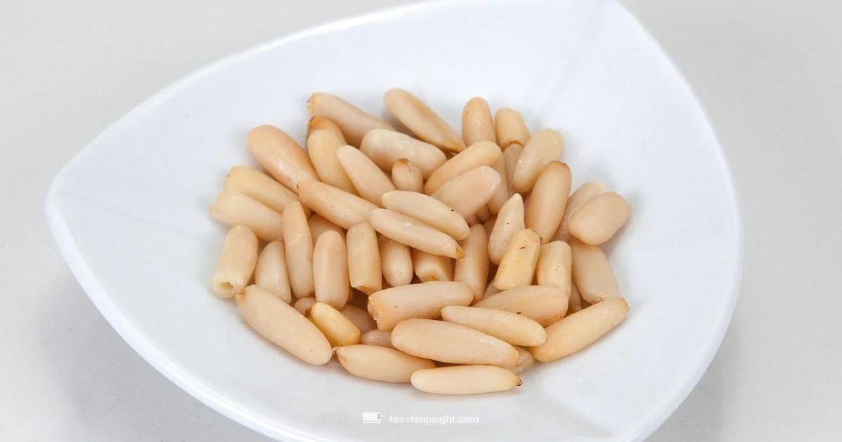 Toasted Pine Nuts Guide - ToasterInsight