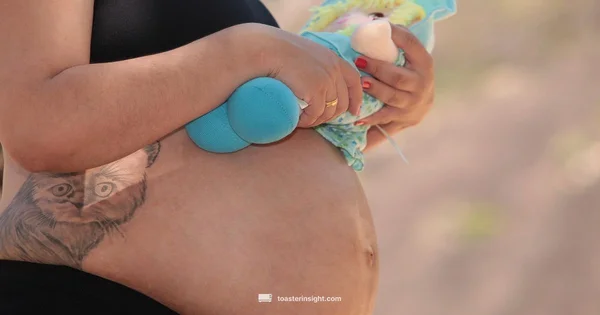 Pregnant Breakfast Guide - ToasterInsight