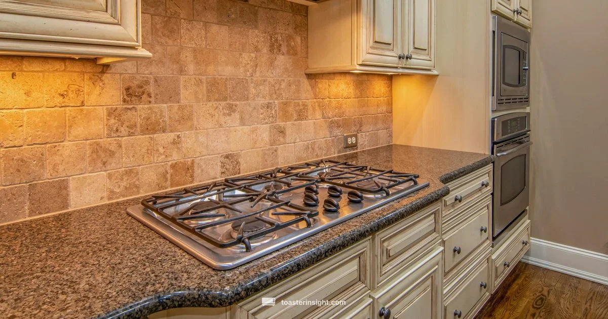 Oven Toaster Griller Guide - ToasterInsight