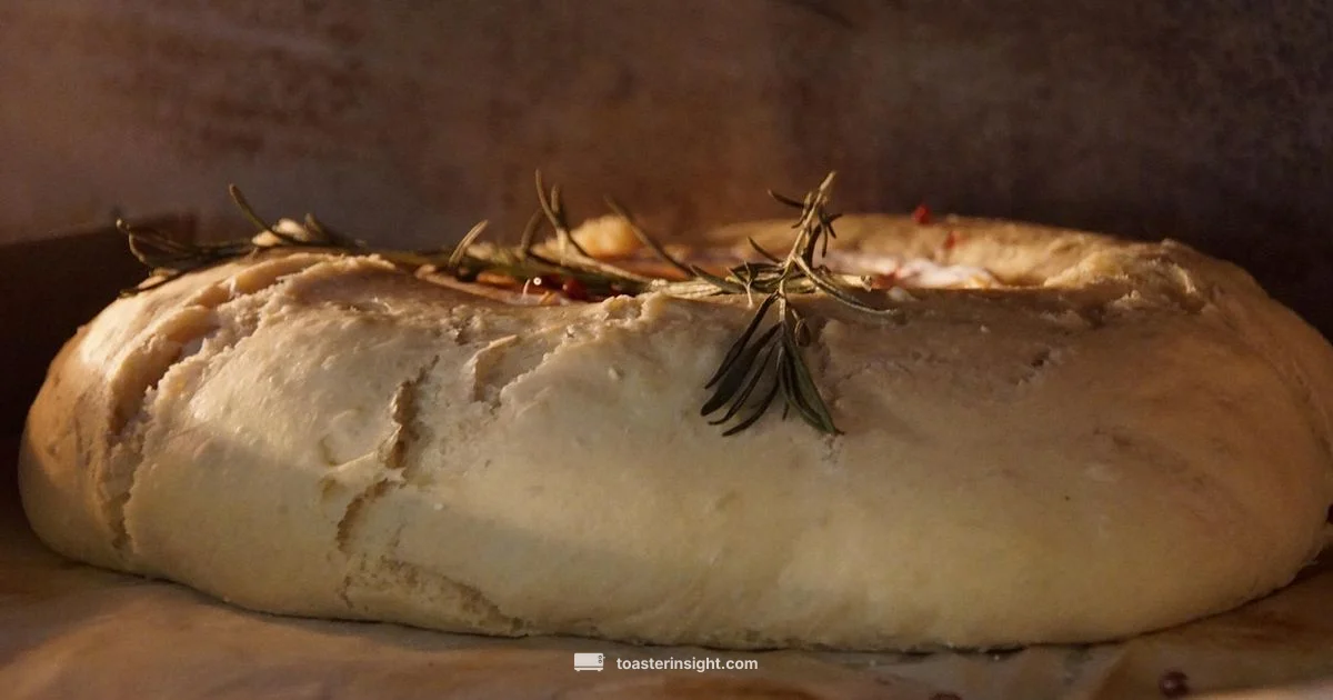 Cheesy Toast Safety - ToasterInsight