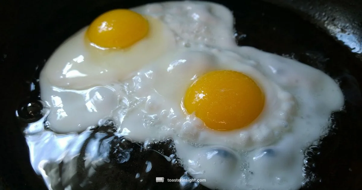 Toaster Scrambles Air Fryer Toaster Scrambles Air Fryer - ToasterInsight