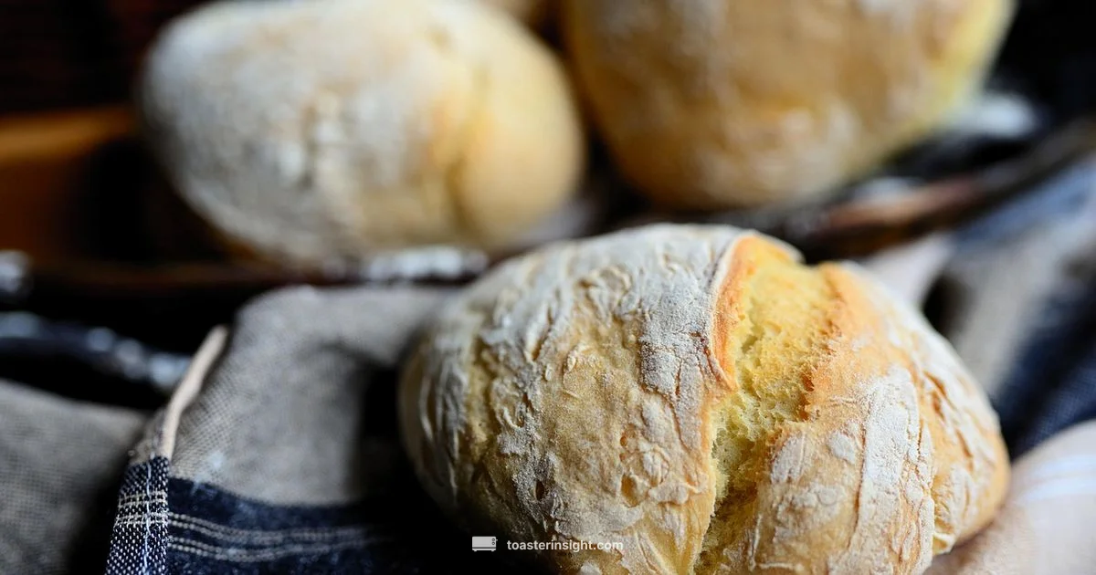 Bun Toaster Essentials - ToasterInsight