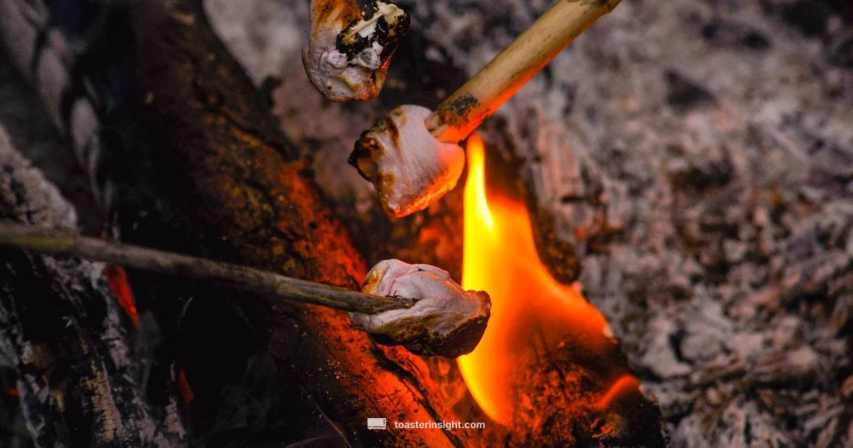 Toasted Marshmallows Guide - ToasterInsight