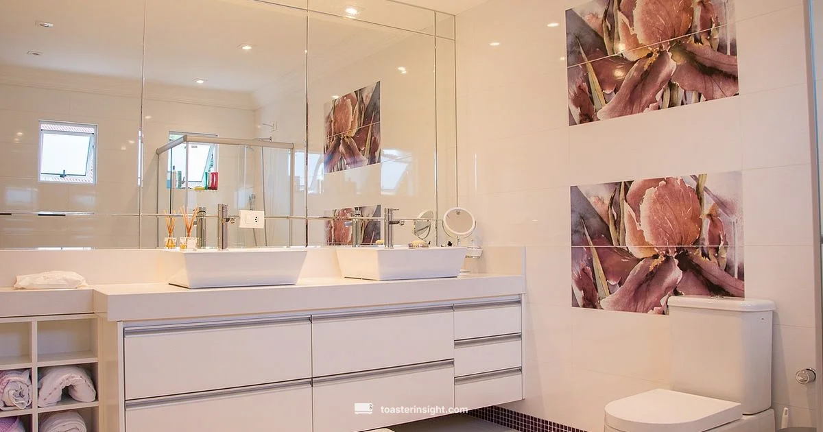 Toaster Safety Basics - ToasterInsight