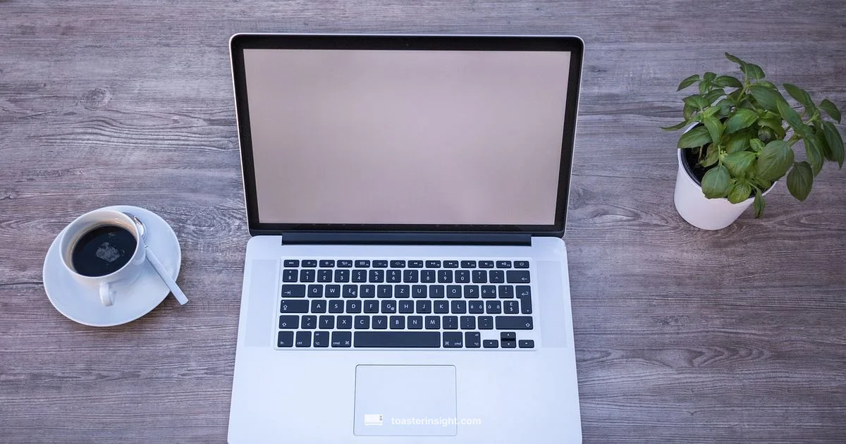 Toaster UI Demo - ToasterInsight