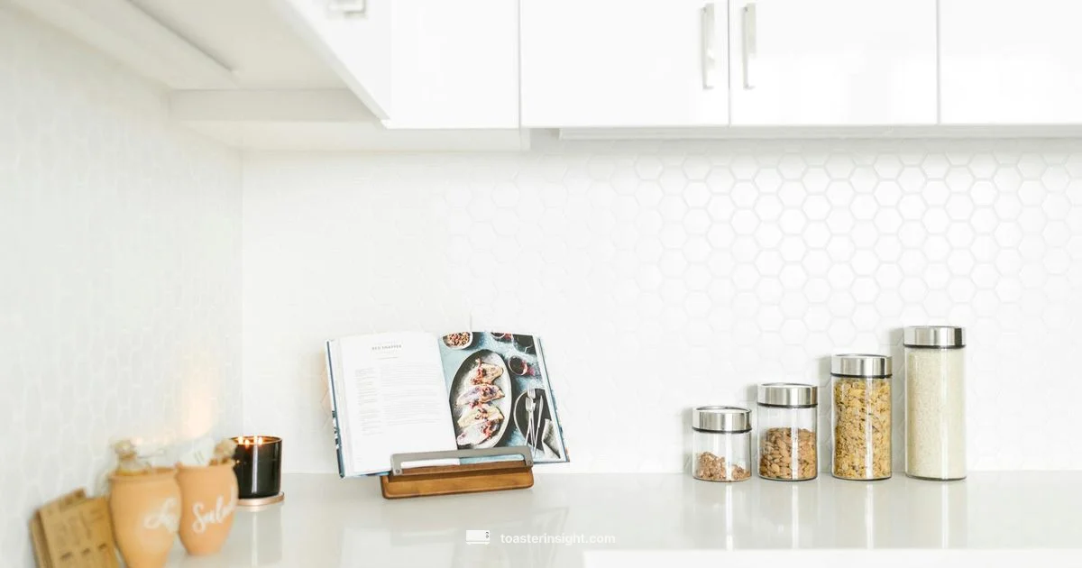 Toaster Science Song - ToasterInsight