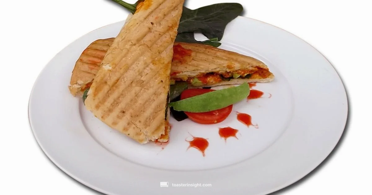 Panini Press Guide - ToasterInsight