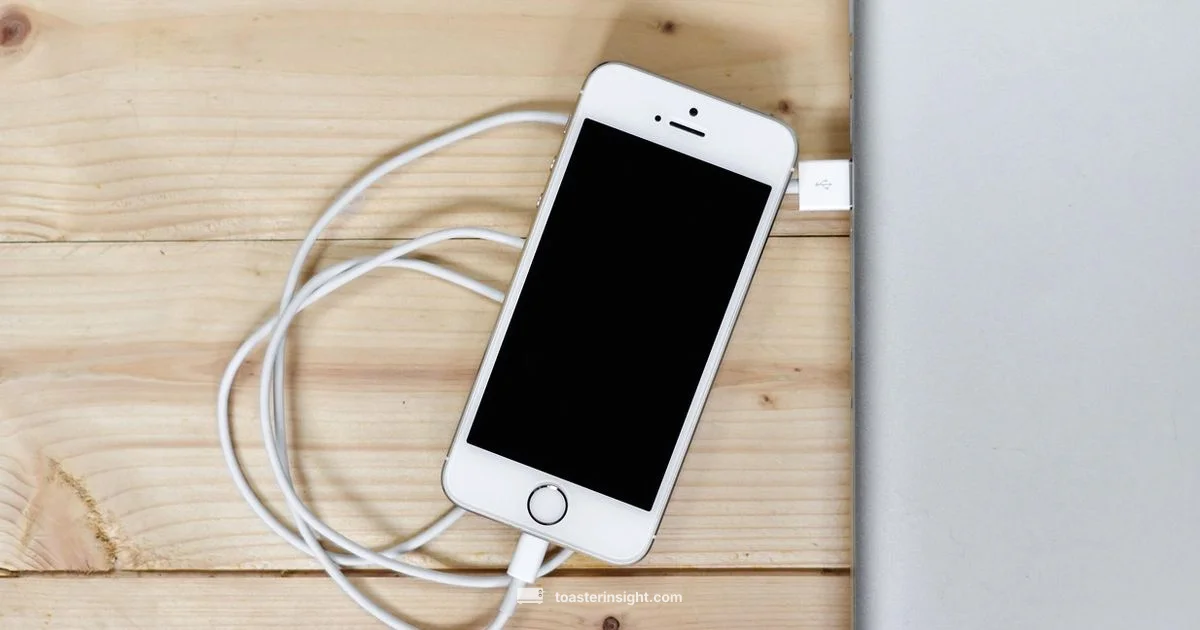 iPhone Charger Toaster iPhone Charger Toaster - ToasterInsight