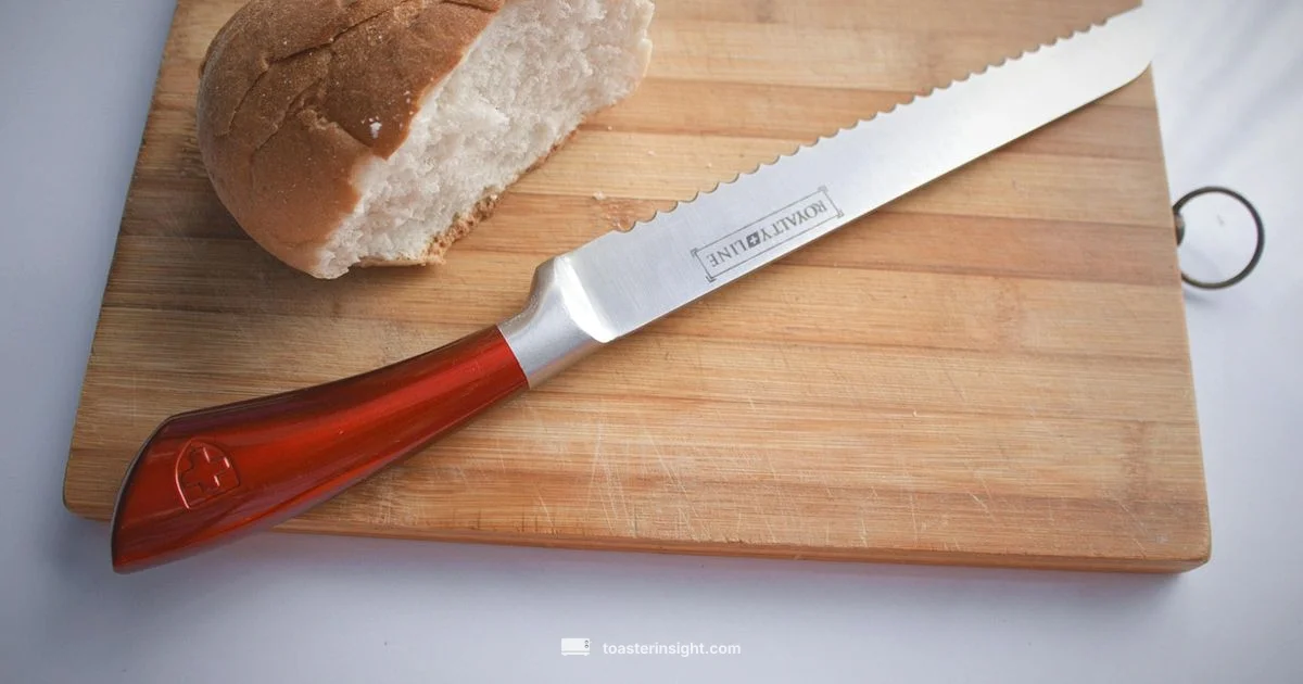 Toast vs Bread - ToasterInsight