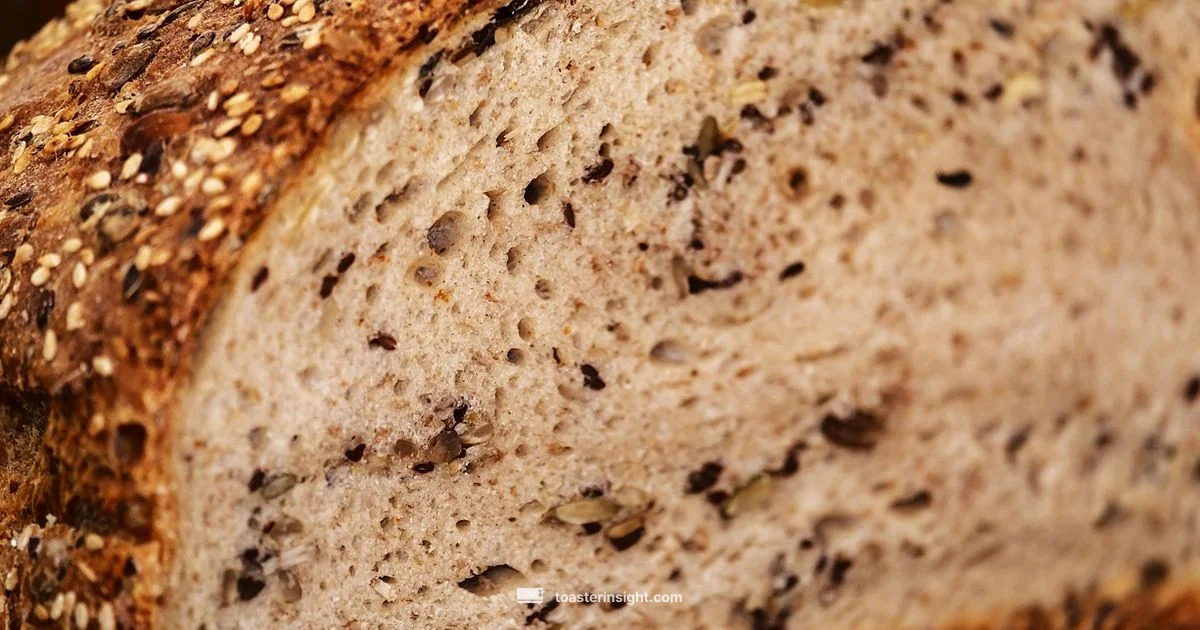 Pop Up Toaster Basics - ToasterInsight