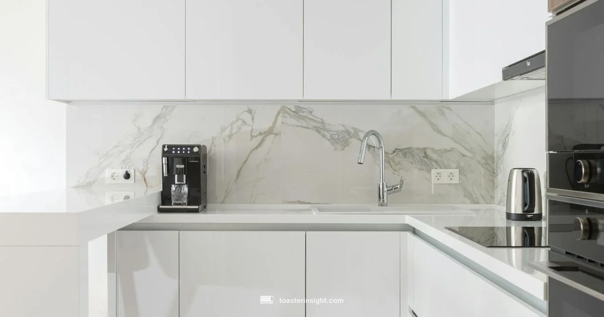 Budget Toaster Guide - ToasterInsight